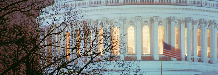 United States Flag in front of U.S. Capitol Building